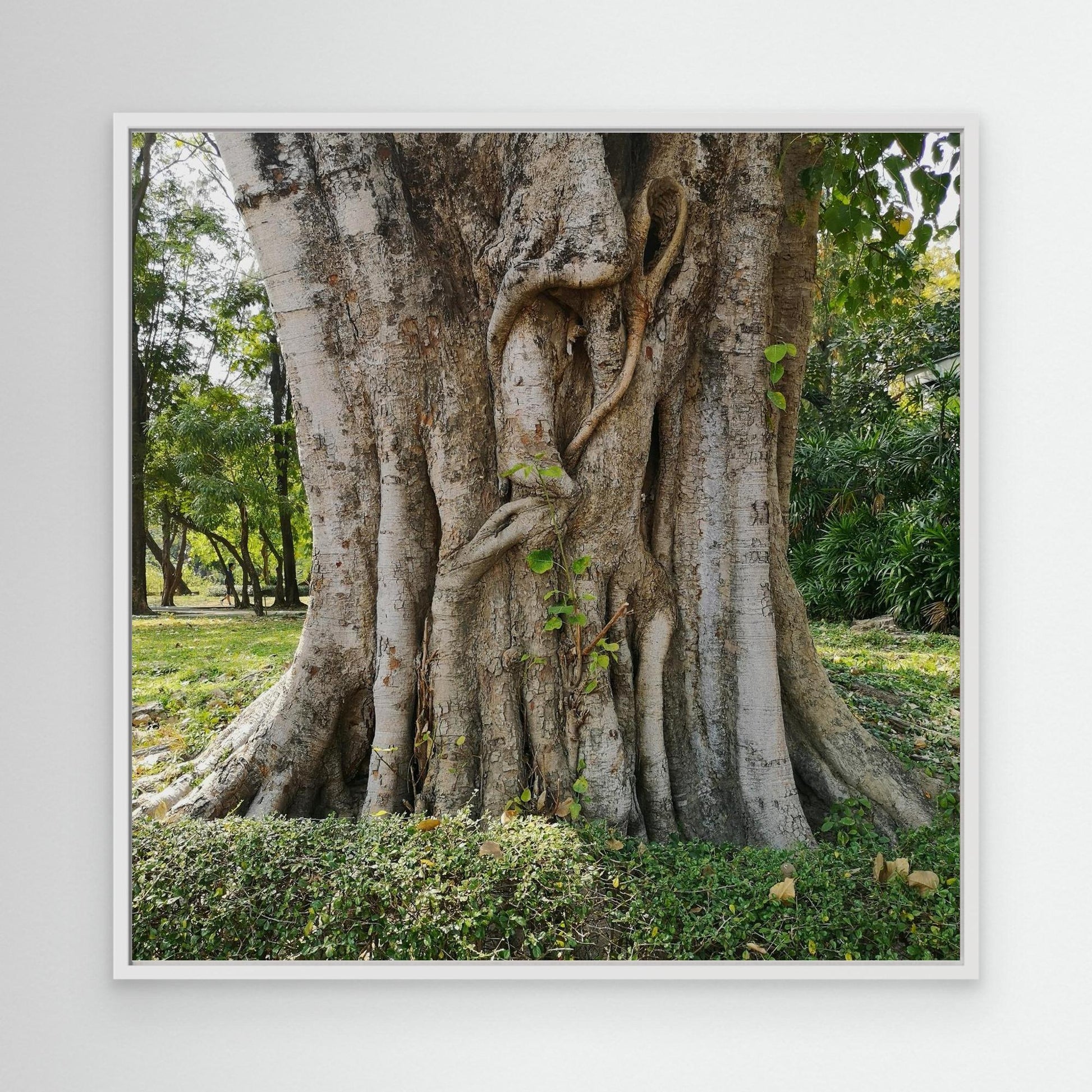 Benchakitti Park, Bangkok