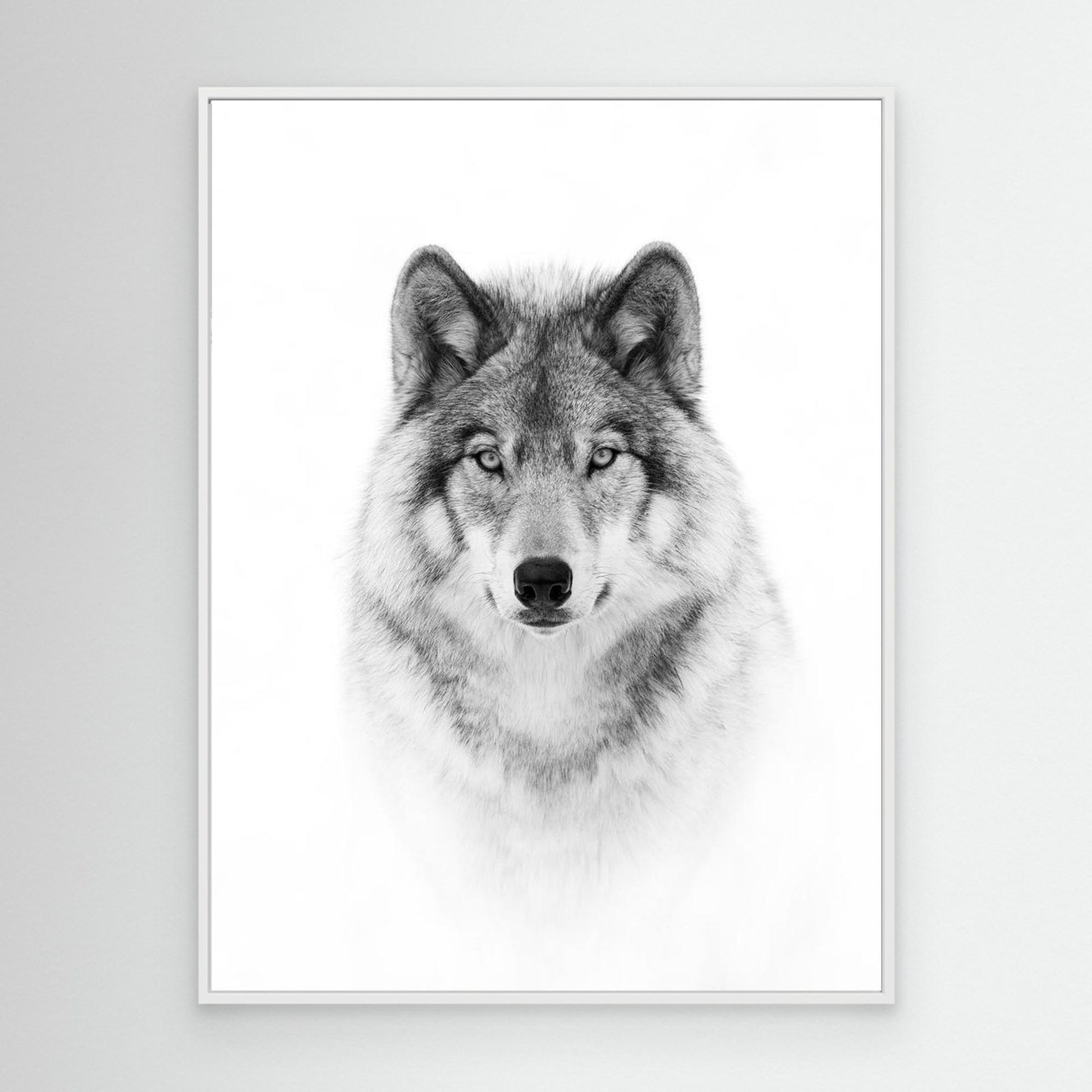 Portrait of a Timber Wolf by Jim Cumming