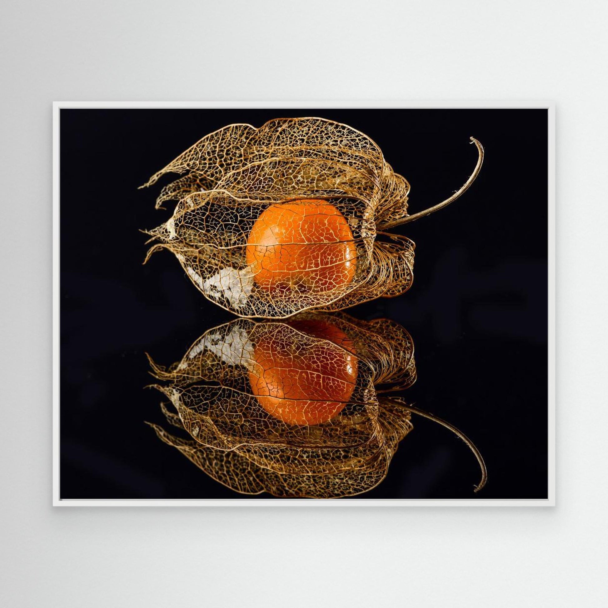 Physalis by Klaus Grosshanten