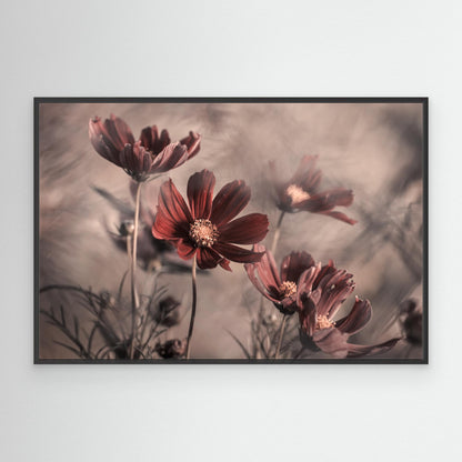 Cosmos 2019 by Fabien Bravin