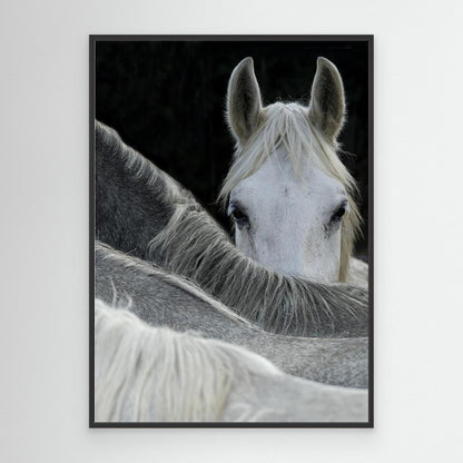 Look by Milan Malovrh