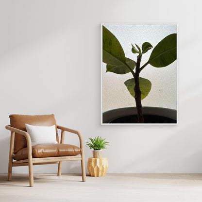 Healthy plant