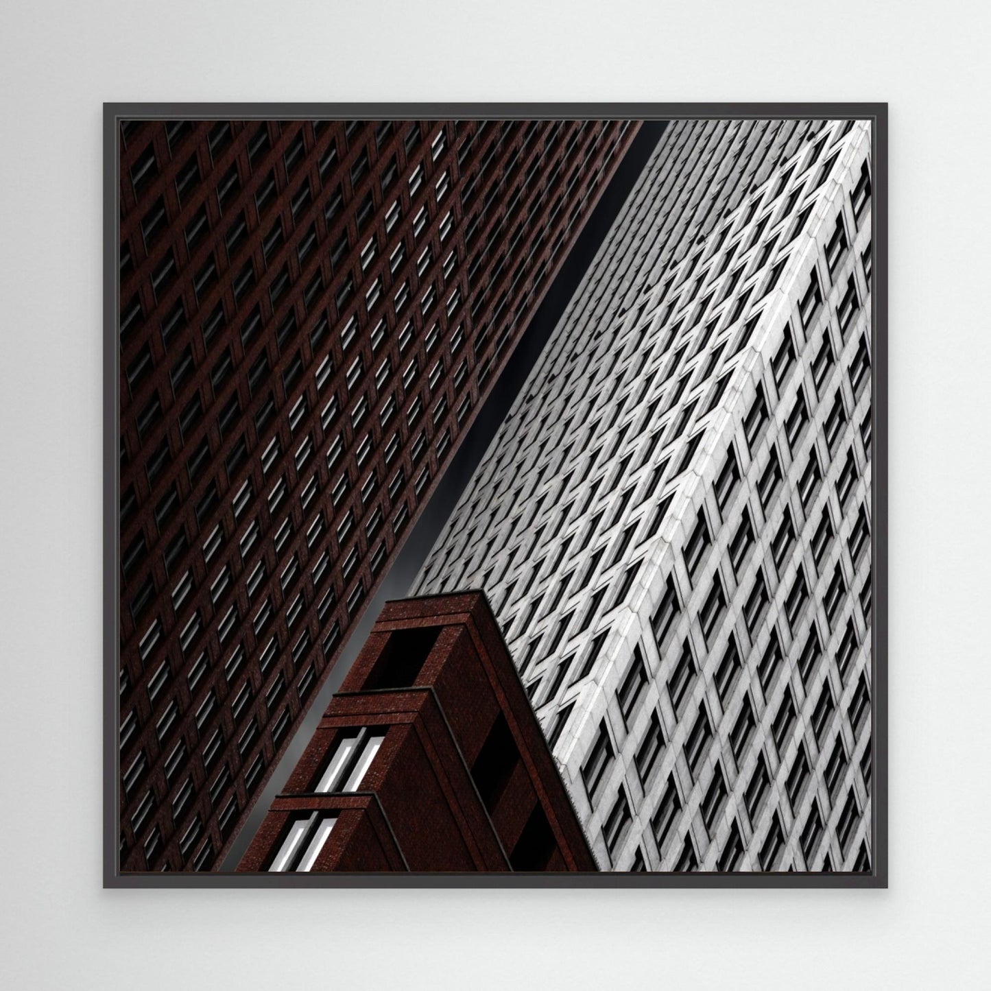 in tribulation by Gilbert Claes