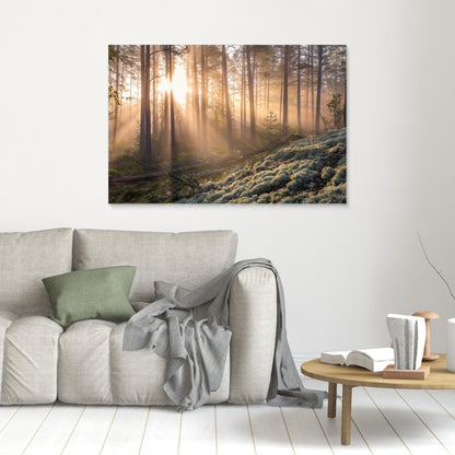 Fog in the forest with white moss in the forground by Christian Lindsten