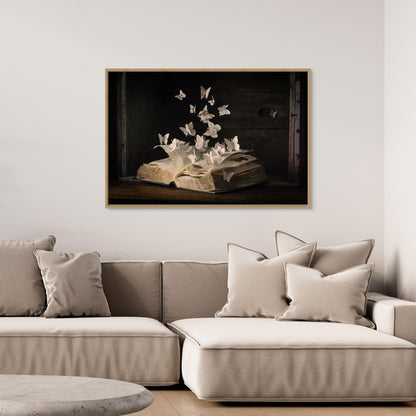 Lepidopterology by Heather Bonadio