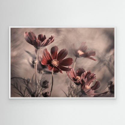 Cosmos 2019 by Fabien Bravin