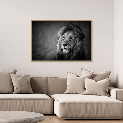 Regal by Mohammed Alnaser