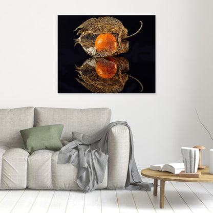 Physalis by Klaus Grosshanten